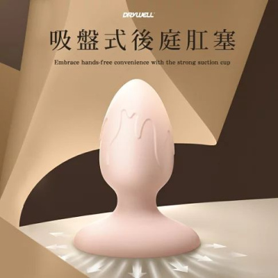 DRYWELL 澀井 後庭塞  吸盤式 後庭肛塞 Kit